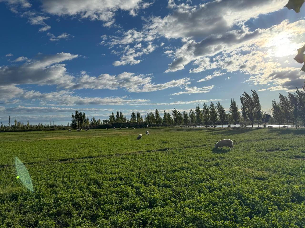 Apartmán Complejo Koi General Alvear  Exteriér fotografie